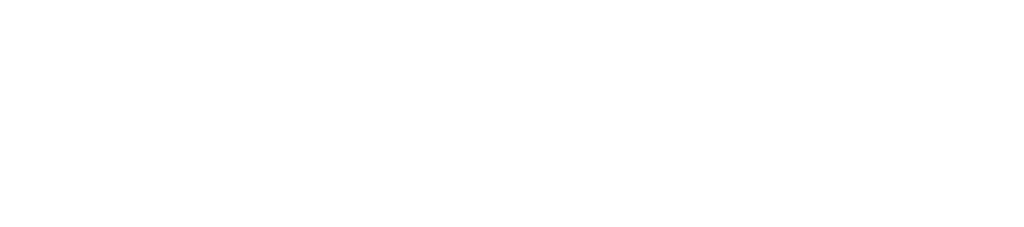 PNY_logo-white